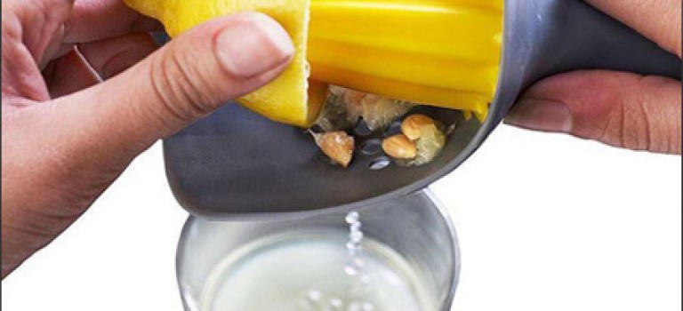 آب میوه گیری دستی مرکبات