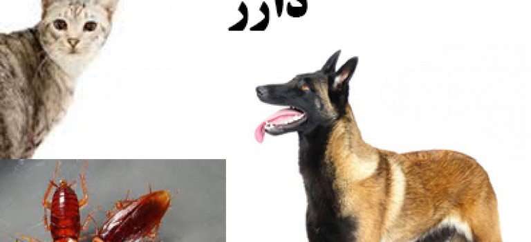 دستگاه دور کننده حیوانات موزی