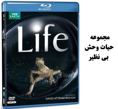 مجموعه حیات وحش بی نظیر